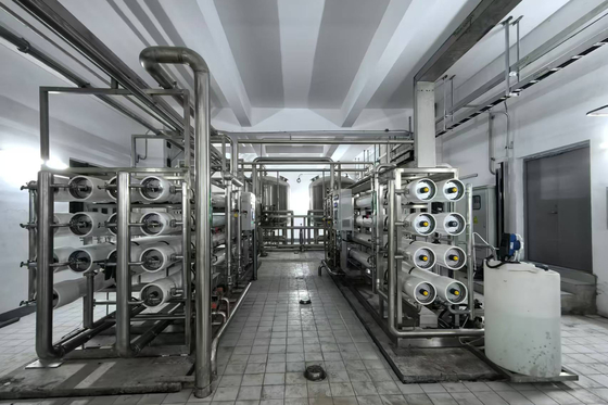 kopen Waterbehandeling Twee-stap RO-systeem, industriële omgekeerde osmose machine online vervaardiging