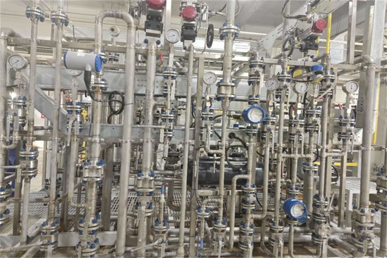 Industriële ultrazuivere waterapparatuur Elektrodeionisatie EDI waterzuiveringssysteem